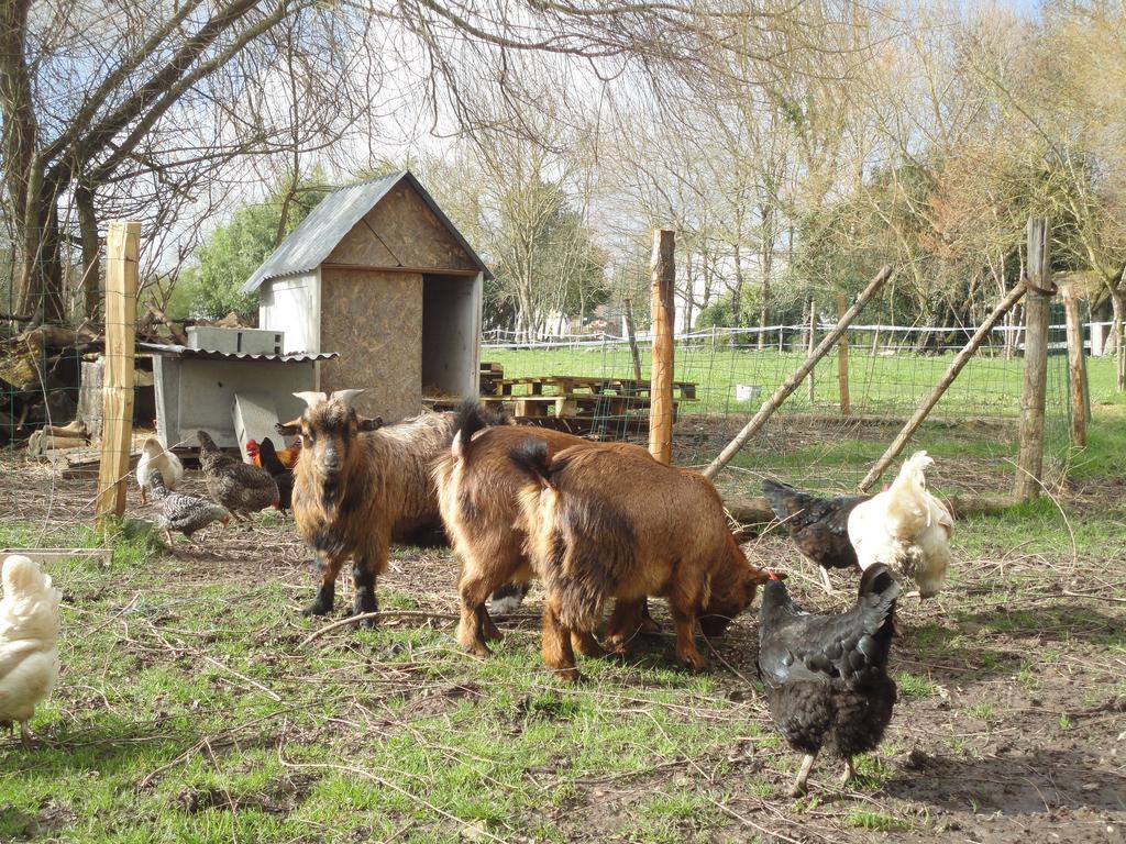 Les 2 Madeleine Bed & Breakfast Saint-Saturnin-du-Bois Bagian luar foto